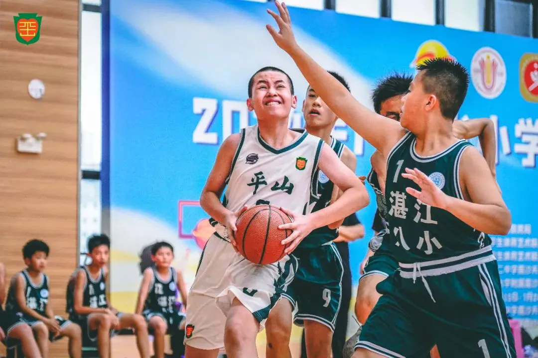 青少年篮球训练的影响因素及对策研究_0